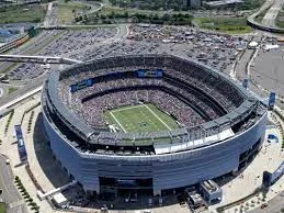 Pitch concerns at N.Y. N.J Stadium raise fears for World Cup final